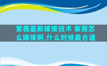 紫薇最新嫁接技术 紫薇怎么嫁接啊,什么时候最合适